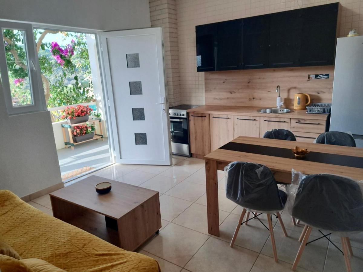 Apartment Vujcic Donji Okrug  외부 사진
